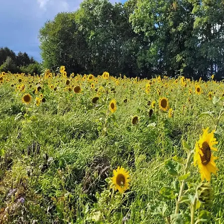 5 Person In Hesselager-by Traum בית נופש Hesselager